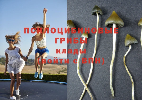 2c-b Кукмор