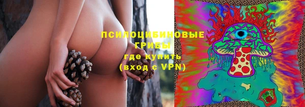 2c-b Кукмор