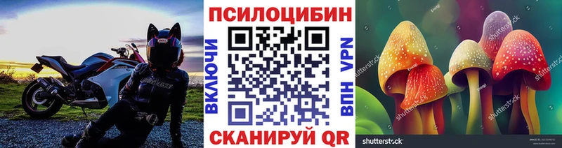 Галлюциногенные грибы GOLDEN TEACHER  Купить где  Мелеуз 